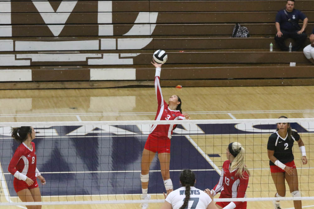 Gallery: Girls volleyball - Crown Point at Michigan City